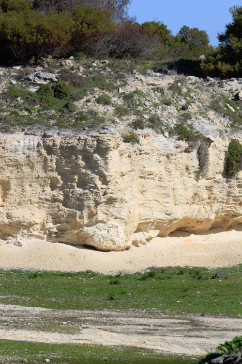 ZuidAfrika_Kaapstad_Robbeneiland_2015_Img0094