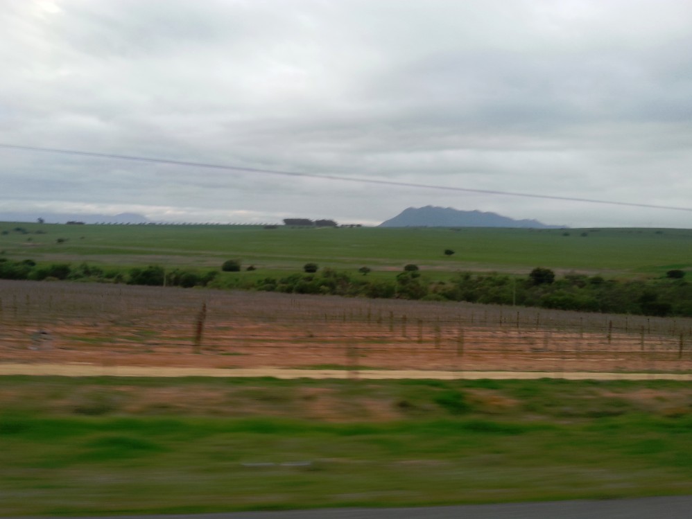 ZuidAfrika_Namaqualand_2015_Img0001