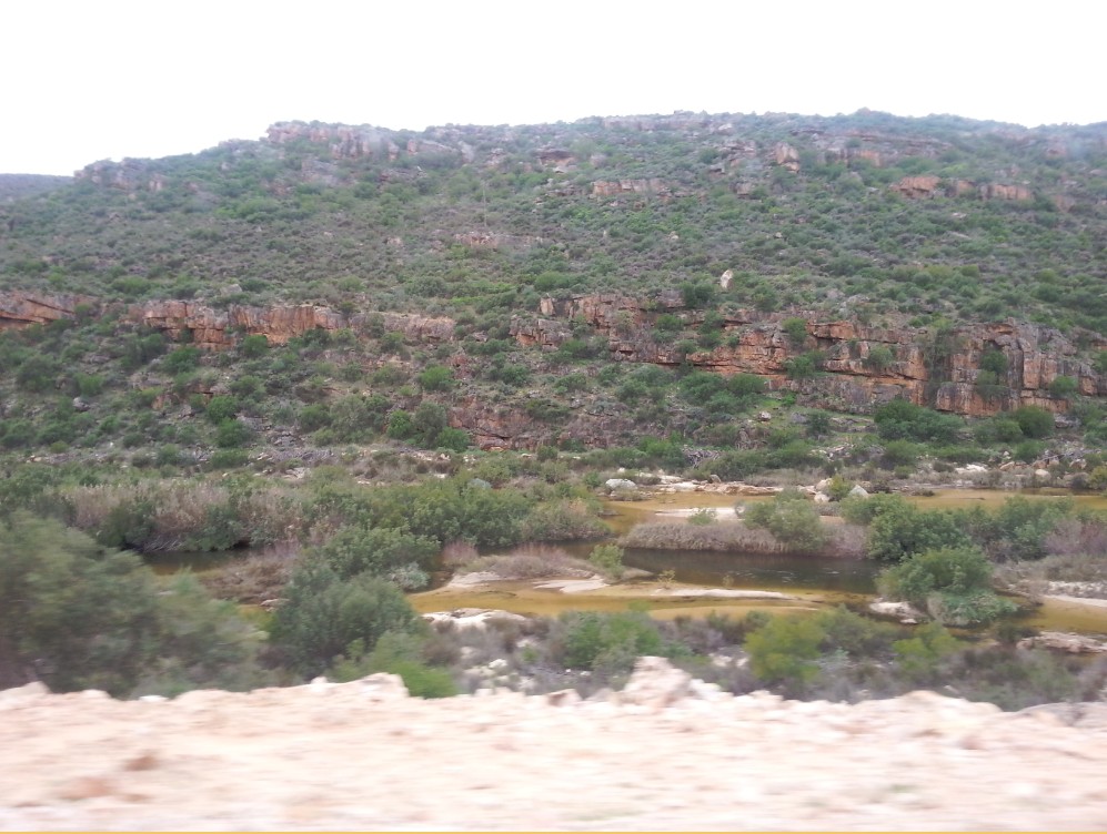 ZuidAfrika_Namaqualand_2015_Img0007