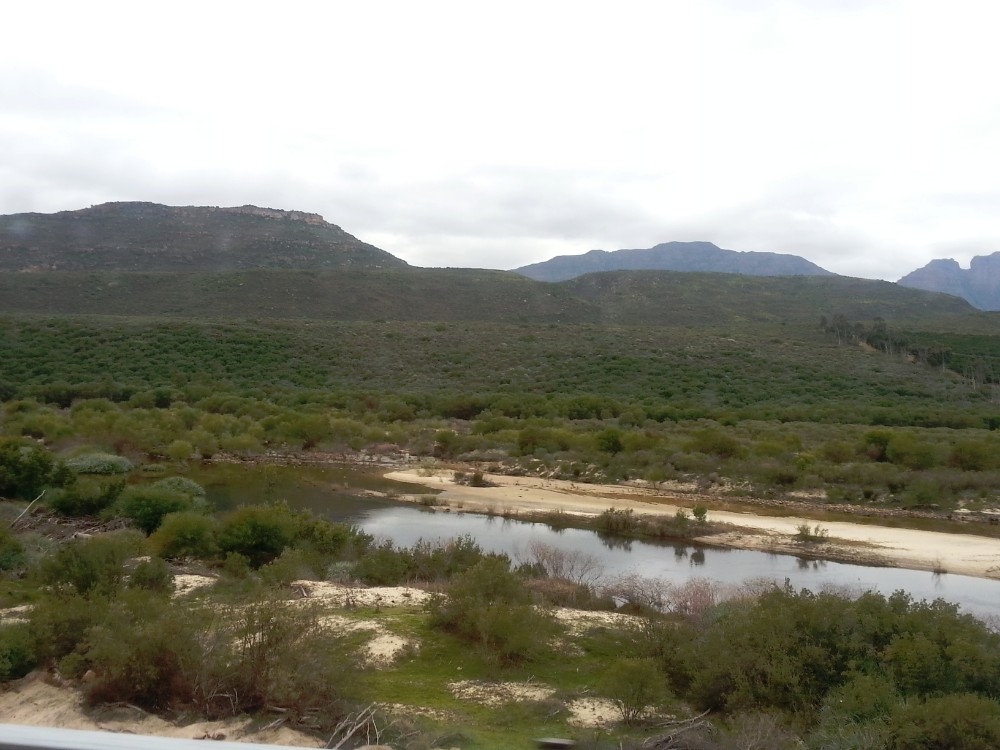 ZuidAfrika_Namaqualand_2015_Img0011