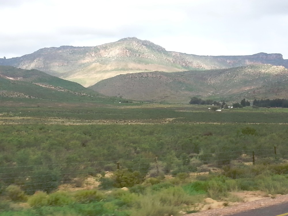 ZuidAfrika_Namaqualand_2015_Img0021