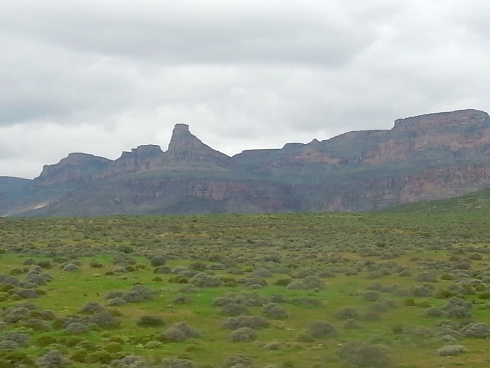 ZuidAfrika_Namaqualand_2015_Img0025