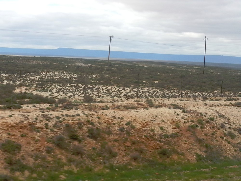 ZuidAfrika_Namaqualand_2015_Img0030