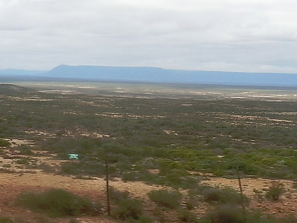 ZuidAfrika_Namaqualand_2015_Img0032