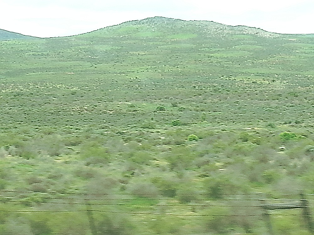 ZuidAfrika_Namaqualand_2015_Img0035