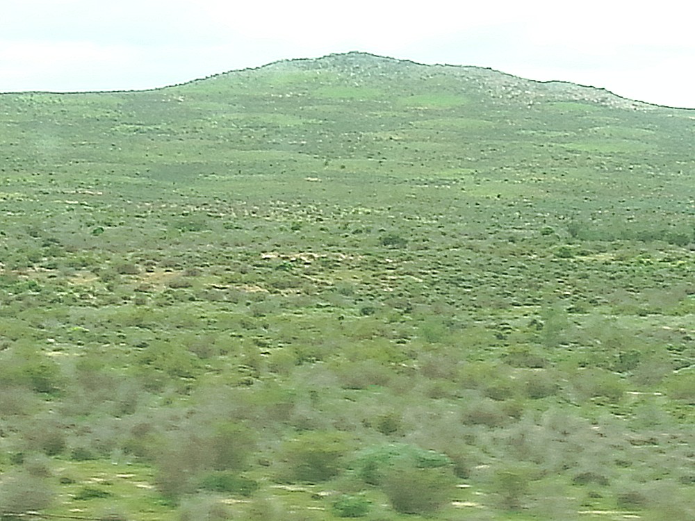 ZuidAfrika_Namaqualand_2015_Img0036