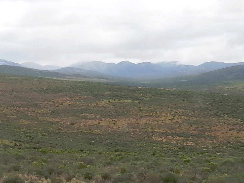 ZuidAfrika_Namaqualand_2015_Img0040