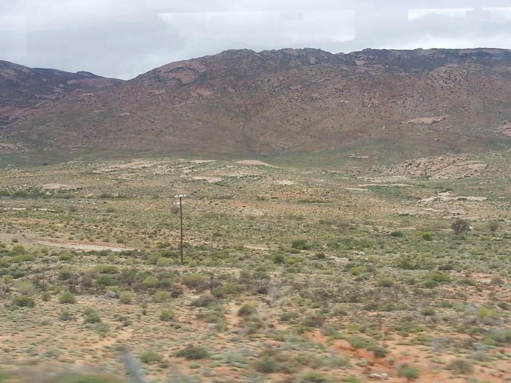 ZuidAfrika_Namaqualand_2015_Img0047