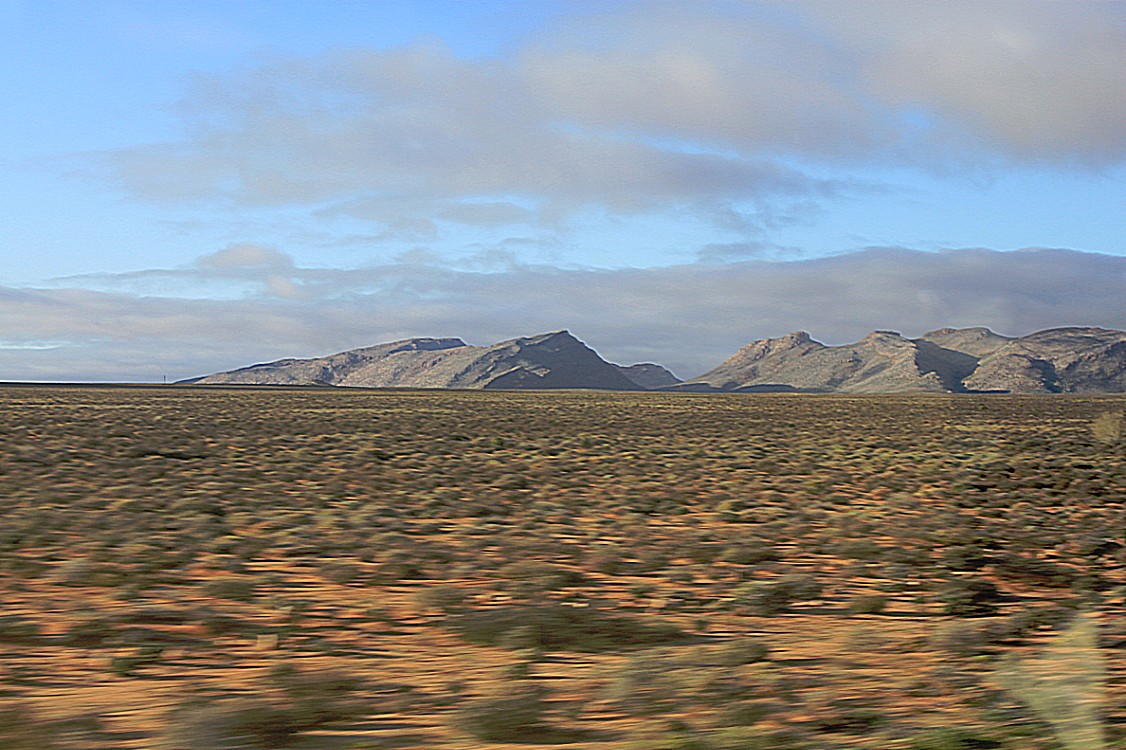 ZuidAfrika_Namaqualand_2015_Img0064