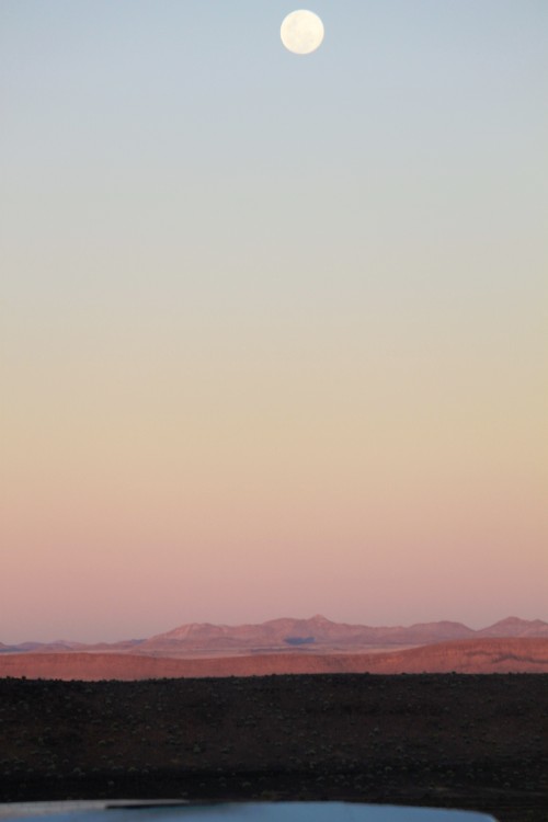 Namibie_AiAis_2015_Img0134