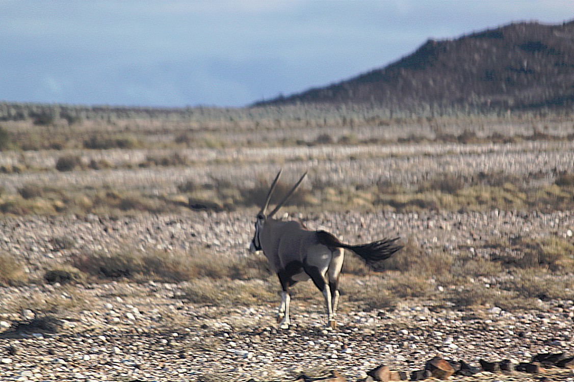 Namibie_AiAis_2015_Img0149