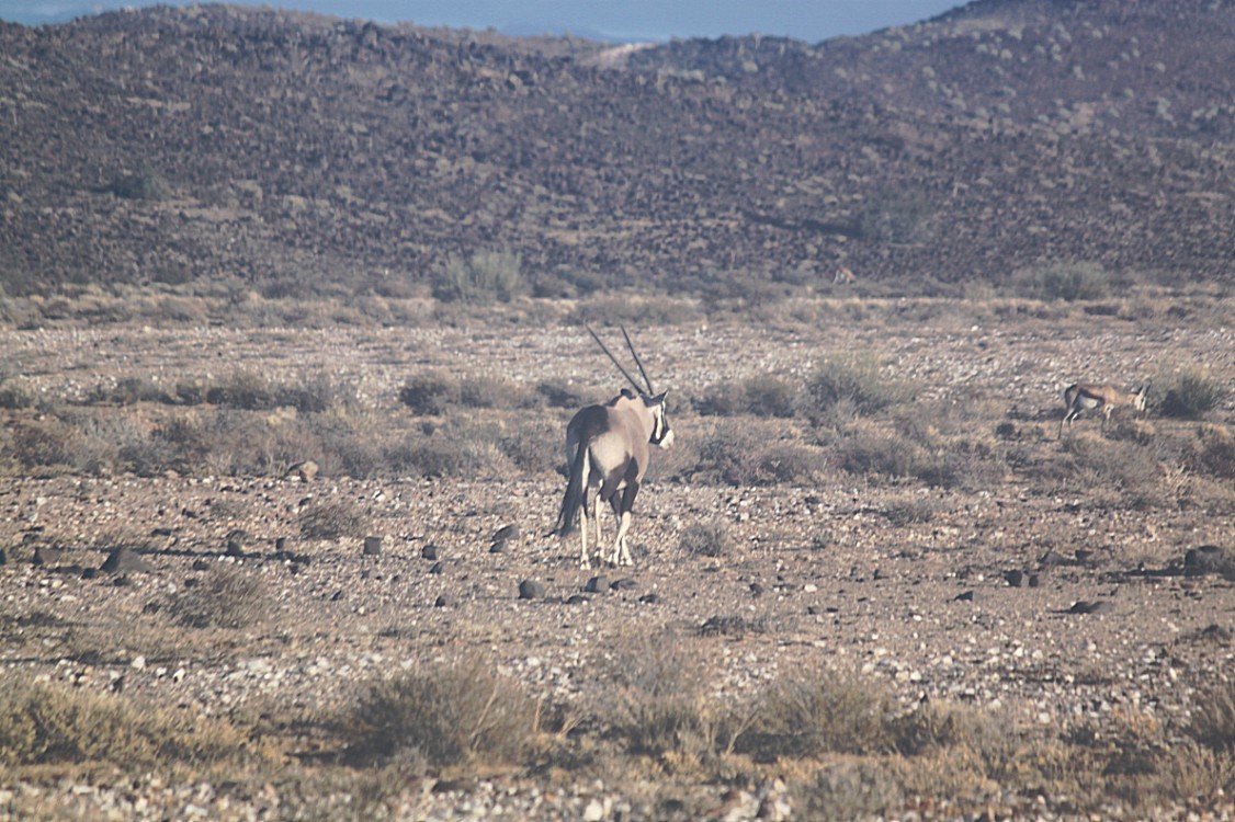 Namibie_AiAis_2015_Img0150