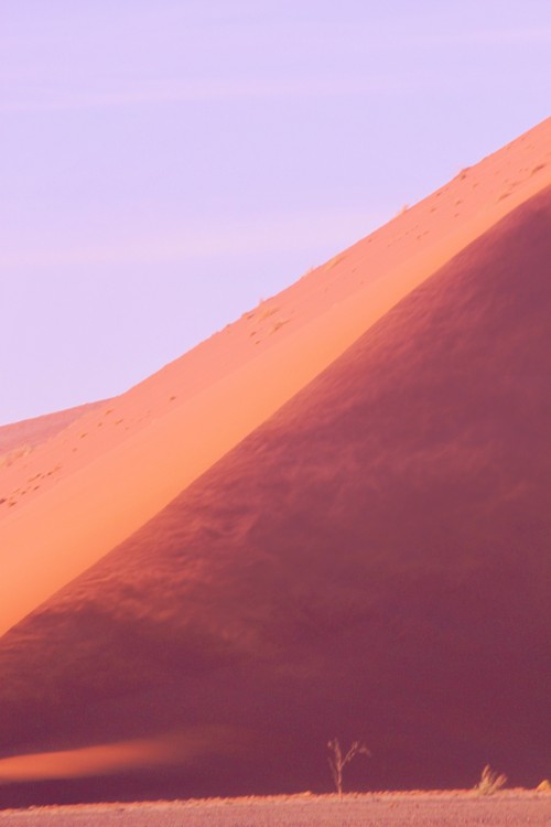 Namibie_Namib_Dunes_2015_Img0006