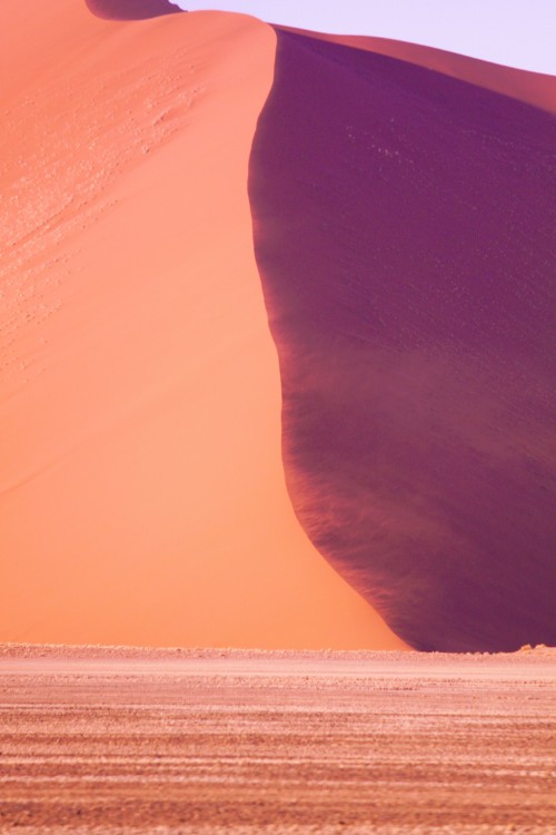 Namibie_Namib_Dunes_2015_Img0009