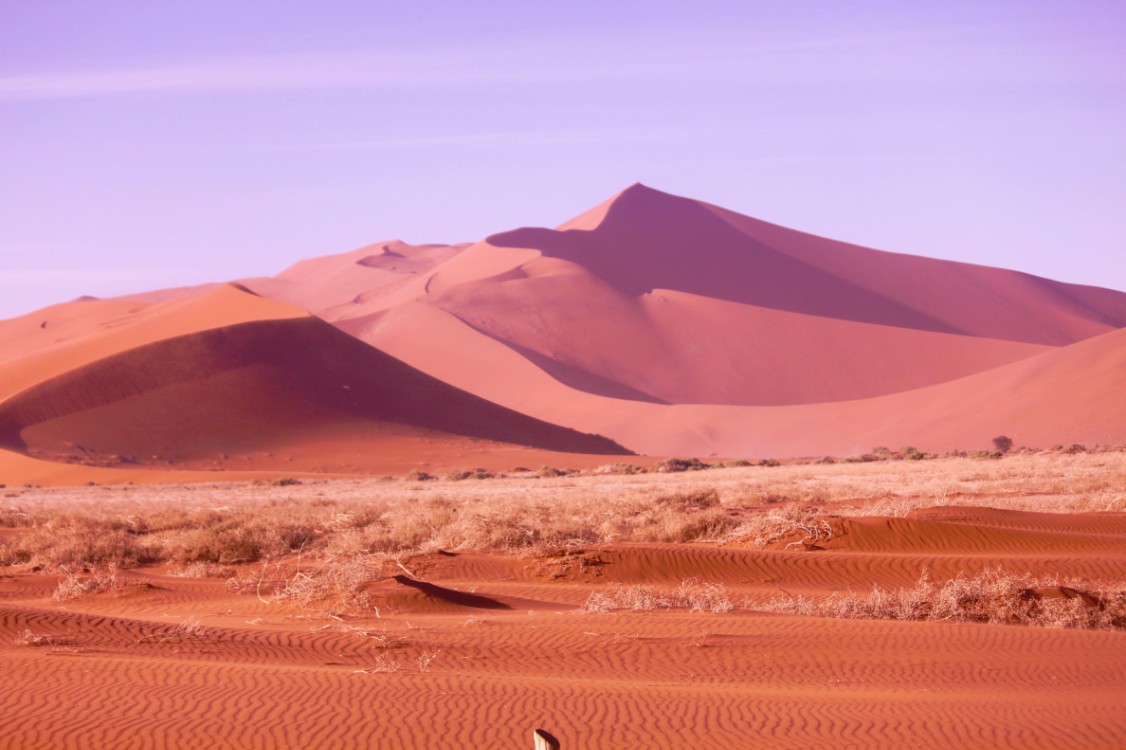 Namibie_Namib_Dunes_2015_Img0012