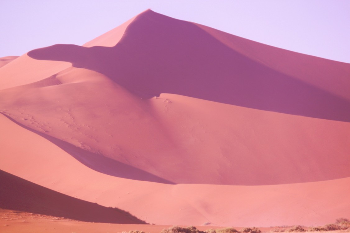 Namibie_Namib_Dunes_2015_Img0013