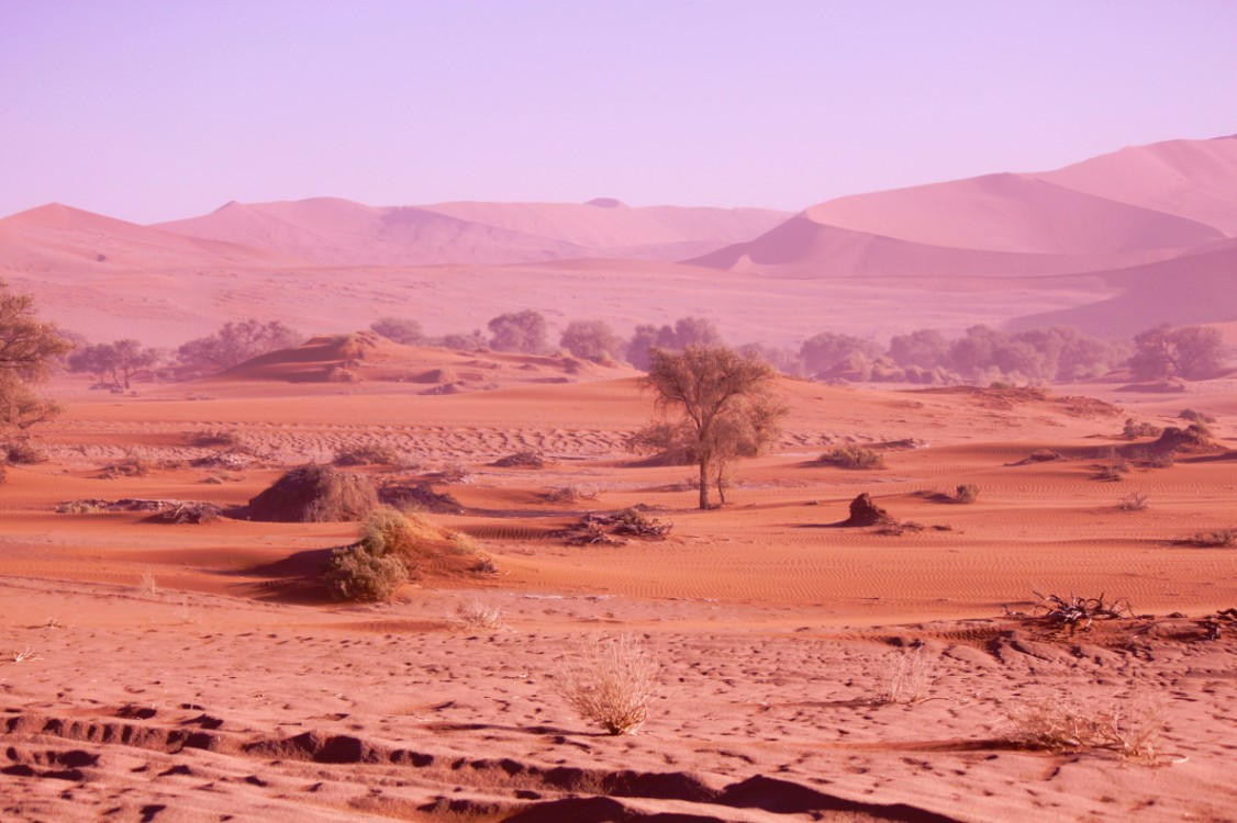 Namibie_Namib_Dunes_2015_Img0014