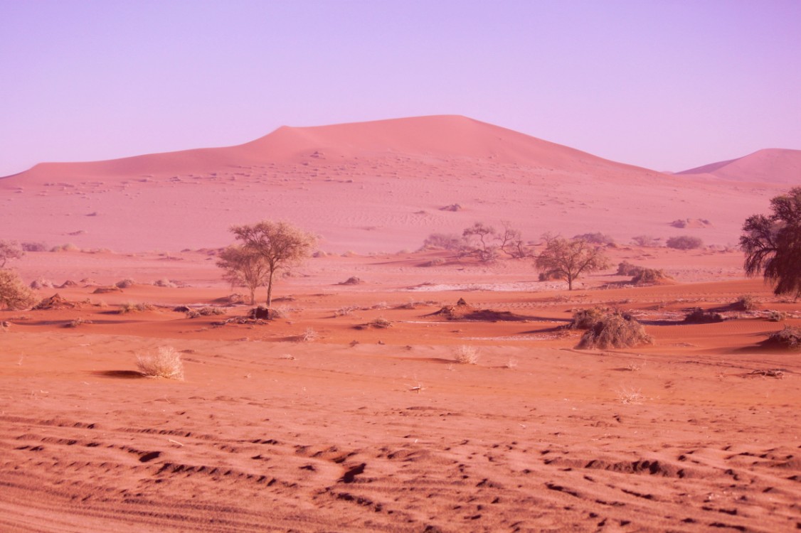 Namibie_Namib_Dunes_2015_Img0015
