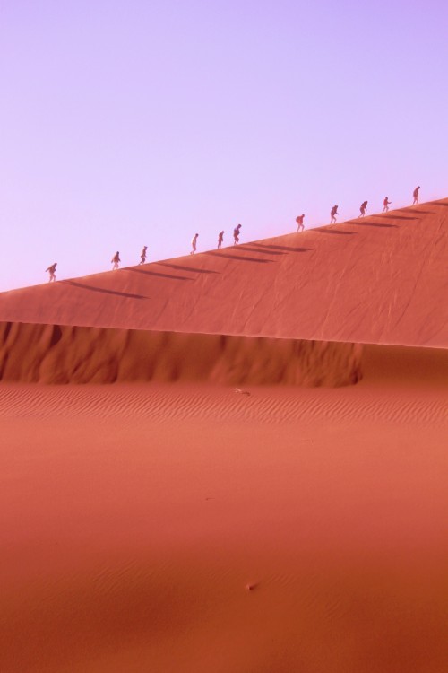 Namibie_Namib_Dunes_2015_Img0019