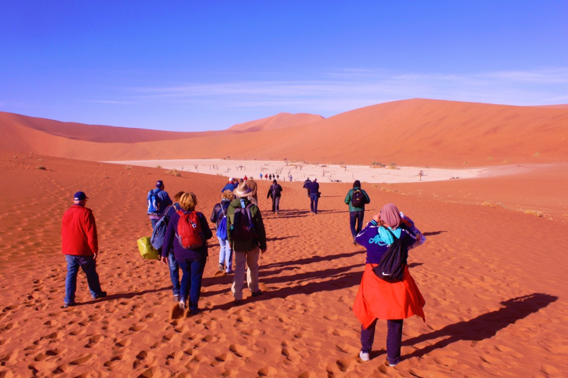 Namibie_Namib_Dunes_2015_Img0031