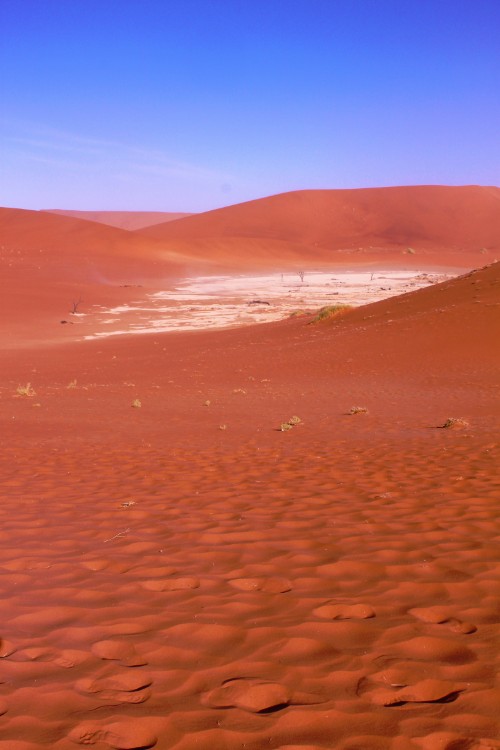 Namibie_Namib_Dunes_2015_Img0032