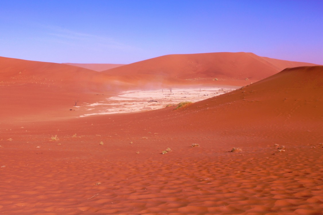 Namibie_Namib_Dunes_2015_Img0033