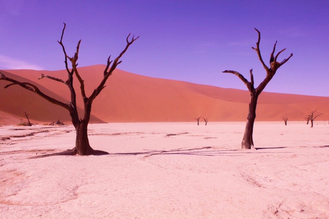 Namibie_Namib_Dunes_2015_Img0046