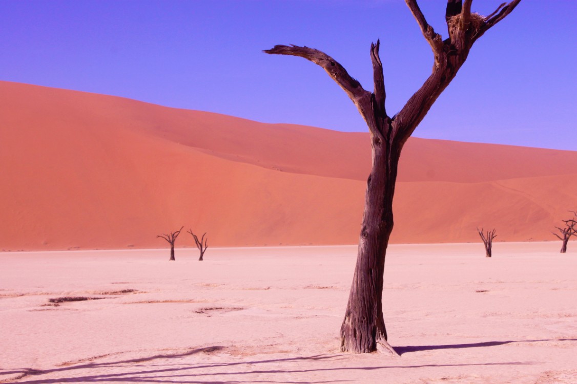 Namibie_Namib_Dunes_2015_Img0047