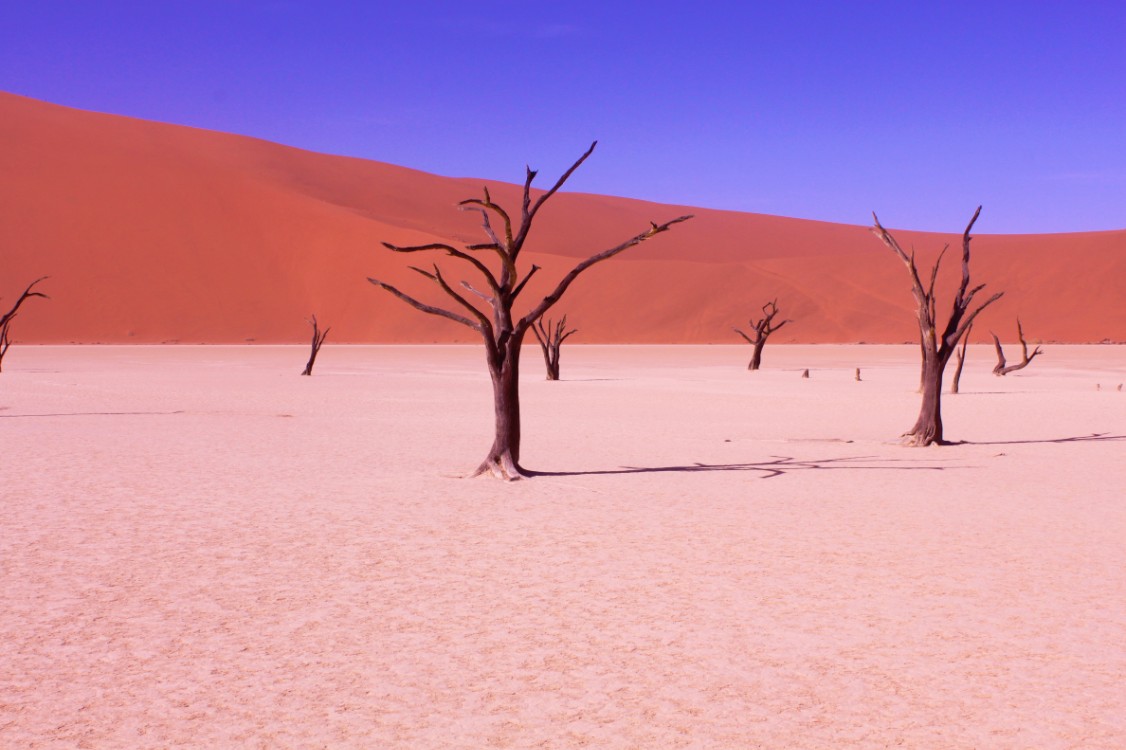 Namibie_Namib_Dunes_2015_Img0048