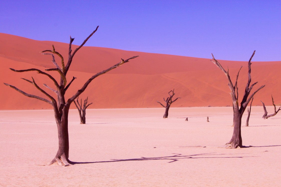 Namibie_Namib_Dunes_2015_Img0050