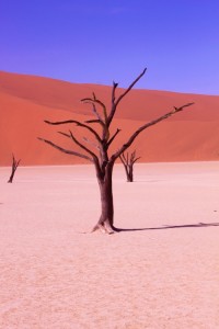 Photogenic and ultimately unique Deadvlei...