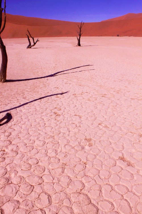 Namibie_Namib_Dunes_2015_Img0052