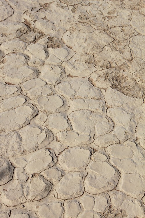 Namibie_Namib_Dunes_2015_Img0054