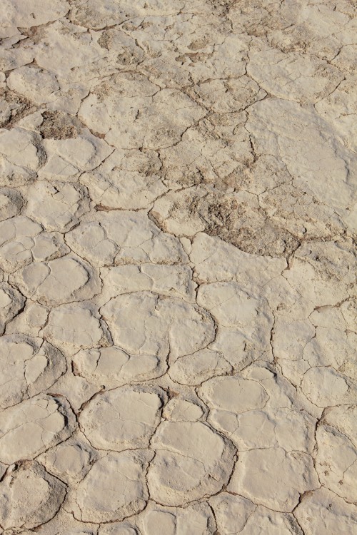 Namibie_Namib_Dunes_2015_Img0055