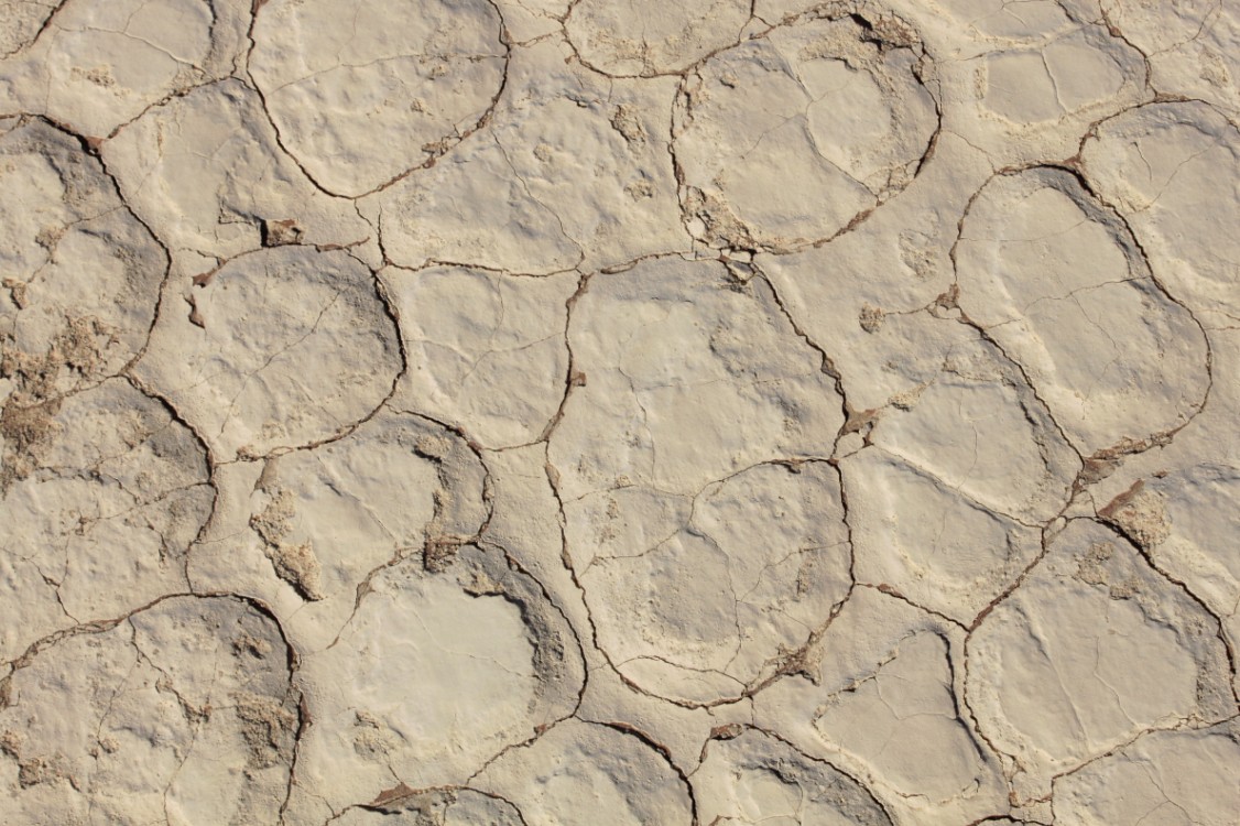 Namibie_Namib_Dunes_2015_Img0056