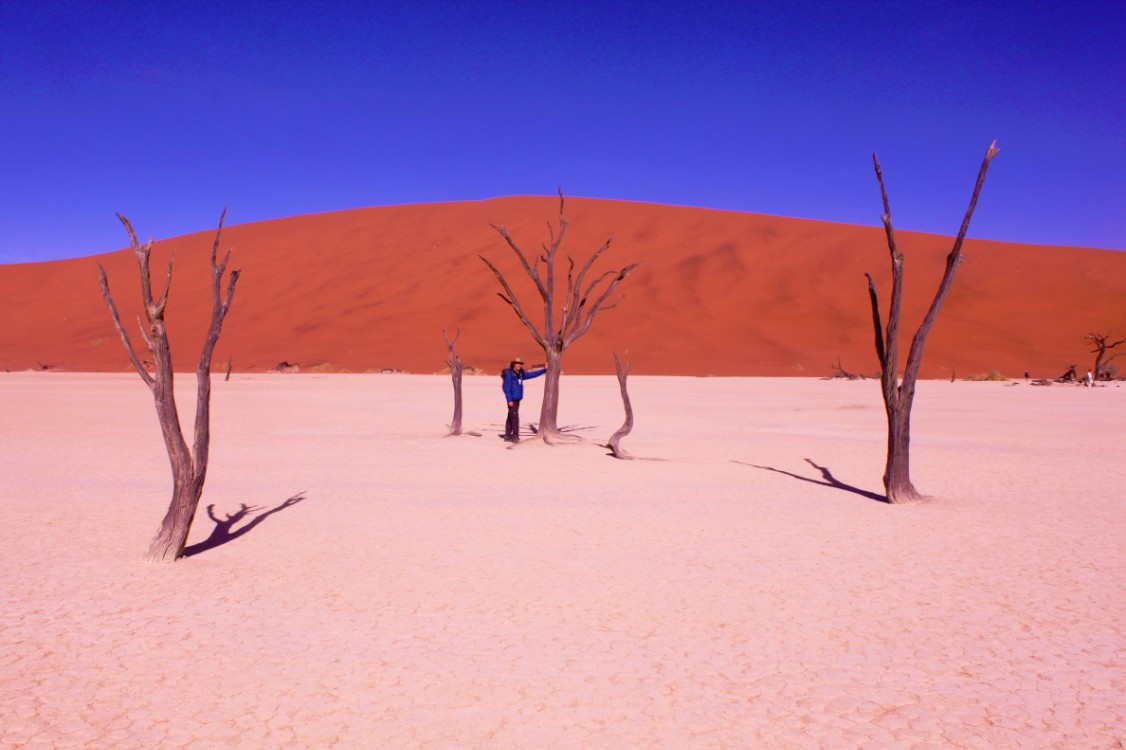 Namibie_Namib_Dunes_2015_Img0057