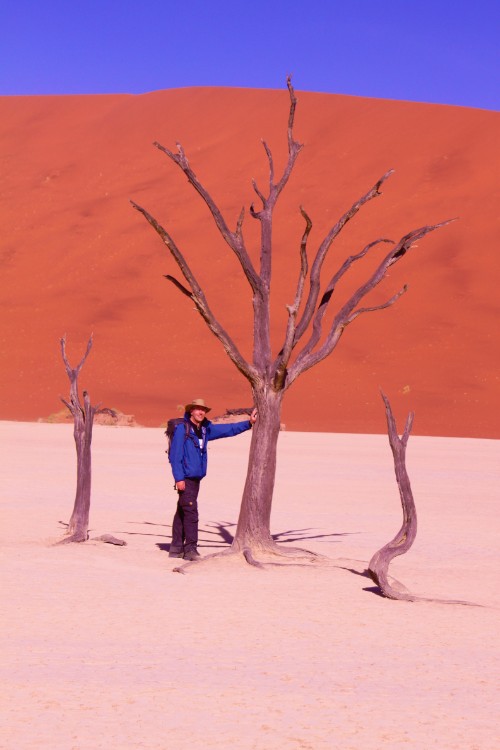 Namibie_Namib_Dunes_2015_Img0058