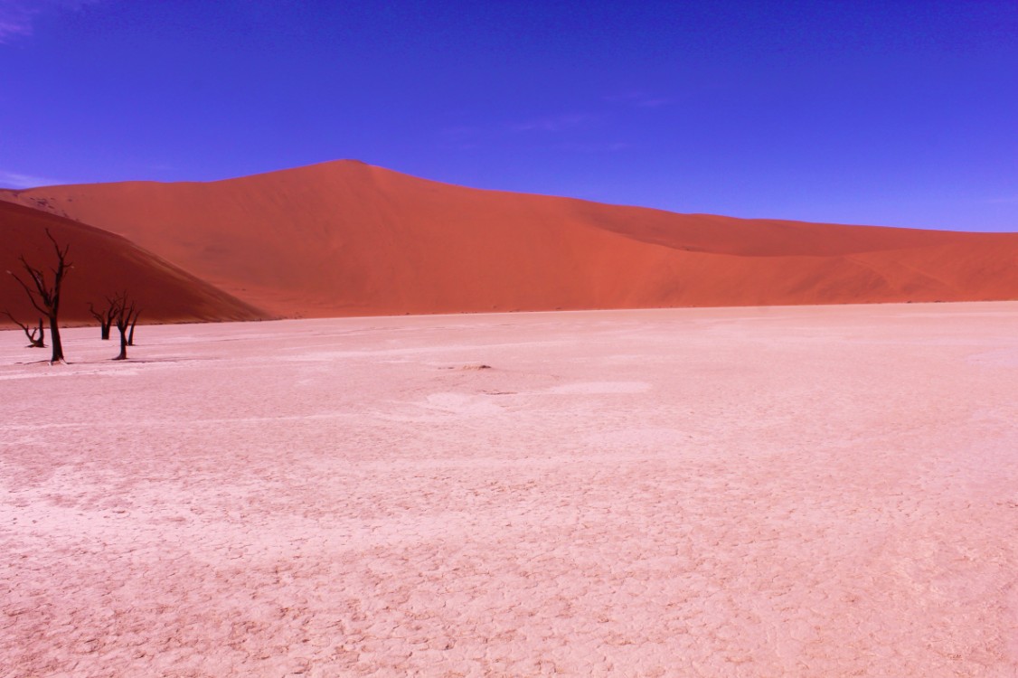 Namibie_Namib_Dunes_2015_Img0061