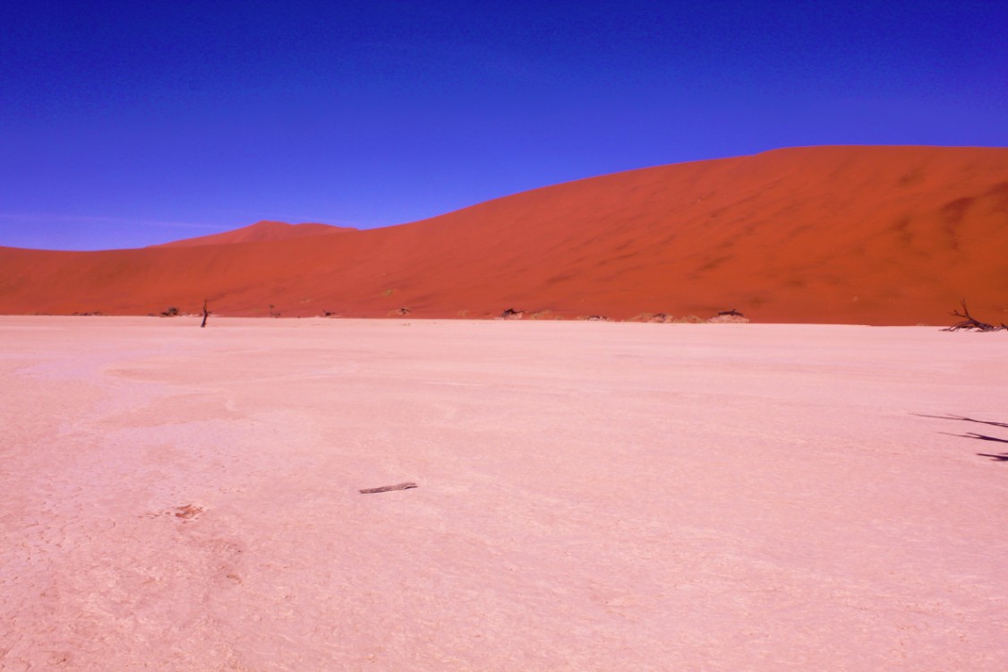 Namibie_Namib_Dunes_2015_Img0062