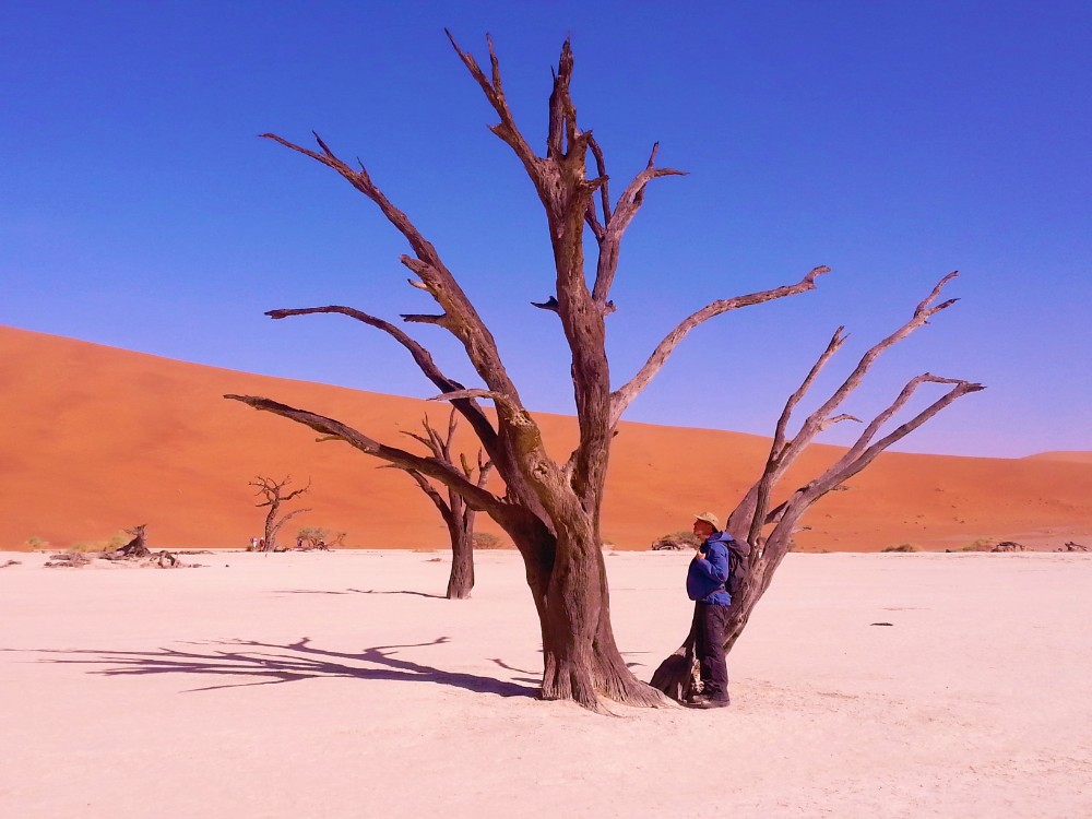 Namibie_Namib_Dunes_2015_Img0066
