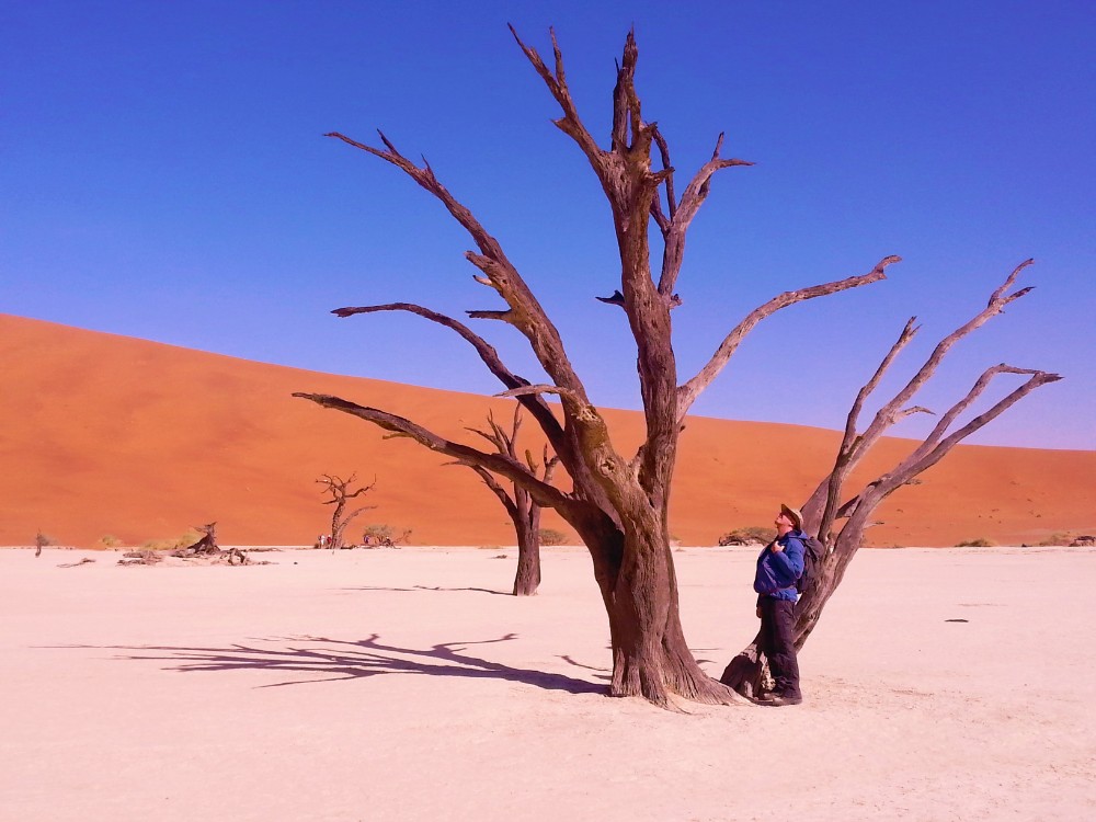 Namibie_Namib_Dunes_2015_Img0067