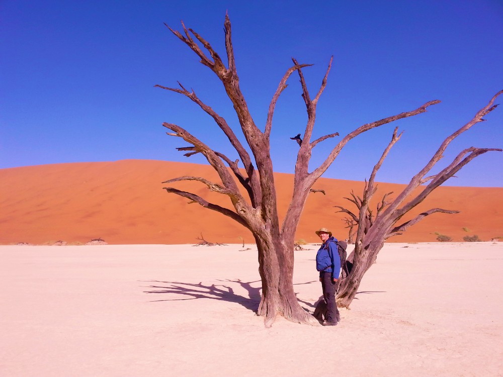 Namibie_Namib_Dunes_2015_Img0068
