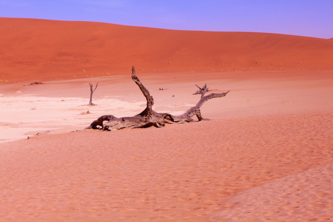 Namibie_Namib_Dunes_2015_Img0070