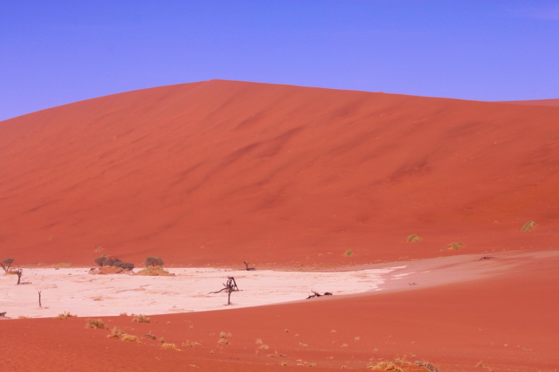 Namibie_Namib_Dunes_2015_Img0071