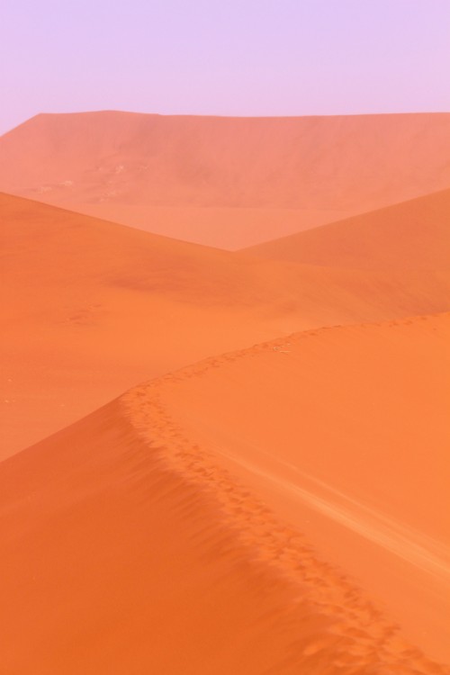 Namibie_Namib_Dunes_2015_Img0072