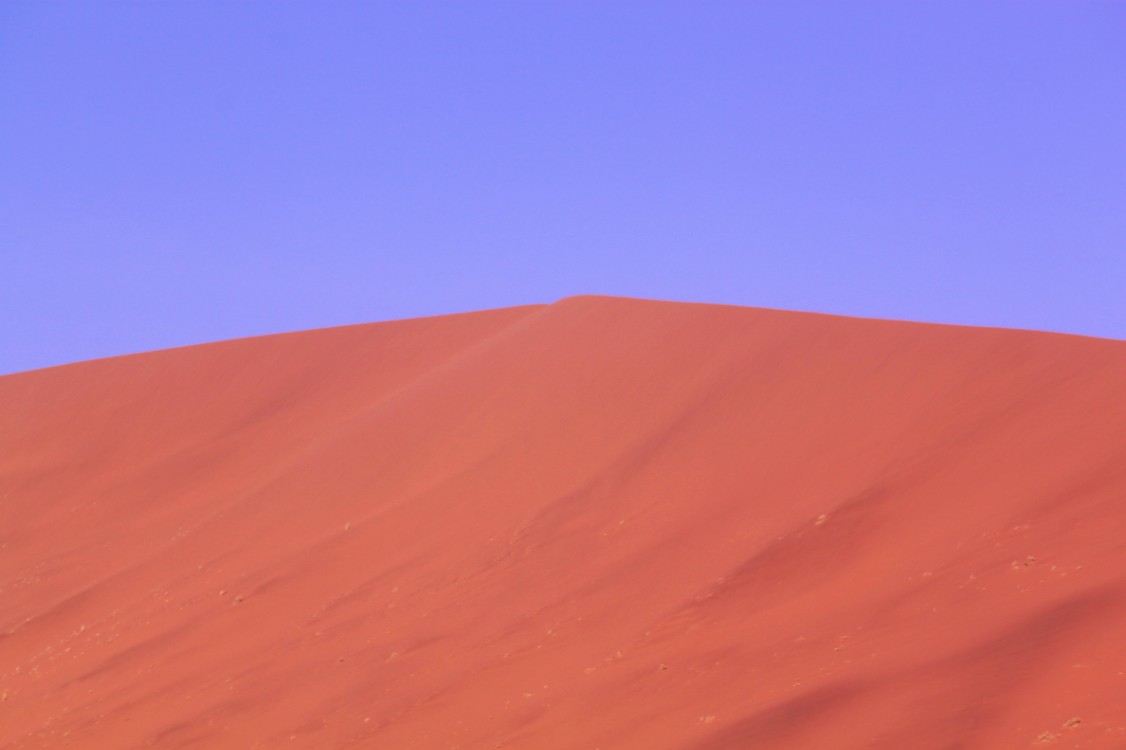 Namibie_Namib_Dunes_2015_Img0075