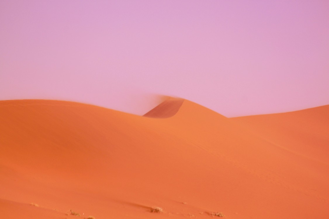 Namibie_Namib_Dunes_2015_Img0076