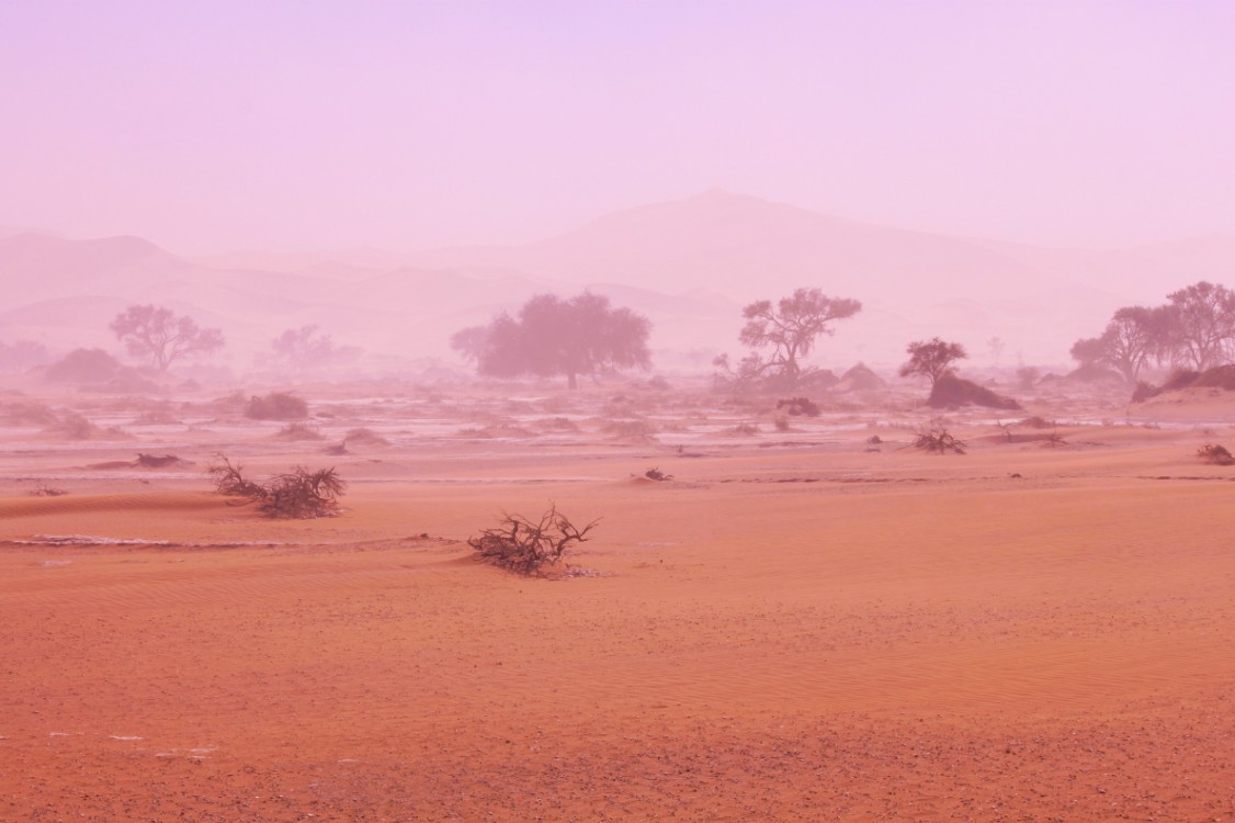 Namibie_Namib_Dunes_2015_Img0078