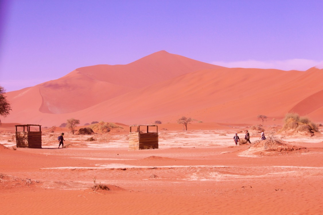 Namibie_Namib_Dunes_2015_Img0079