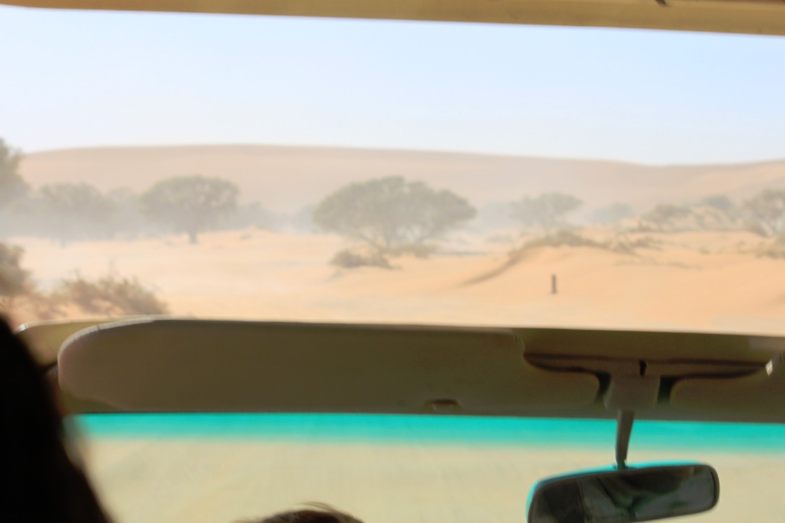 Namibie_Namib_Dunes_2015_Img0081